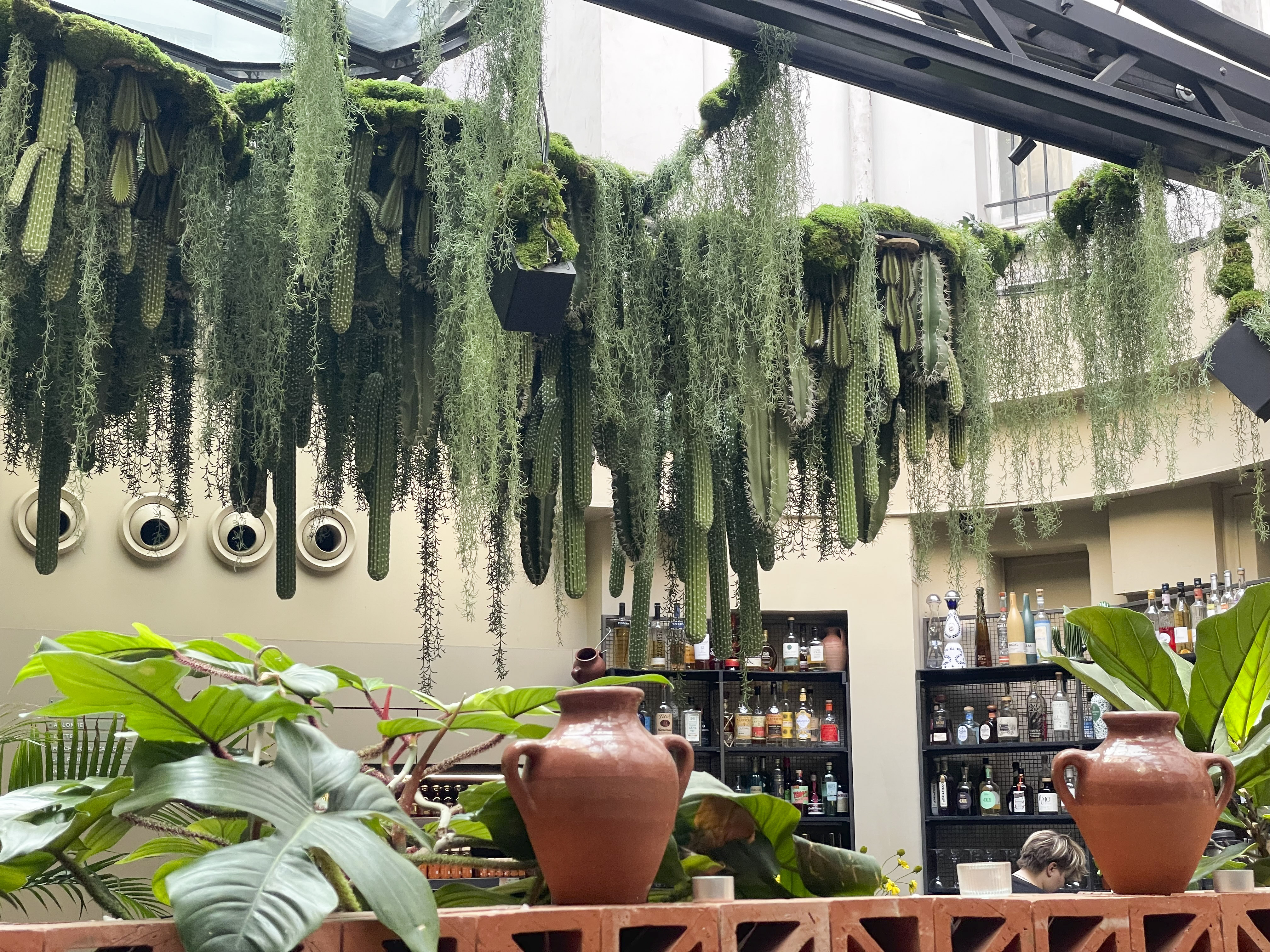 Tekés: My Vegetarian Restaurant choice in Paris